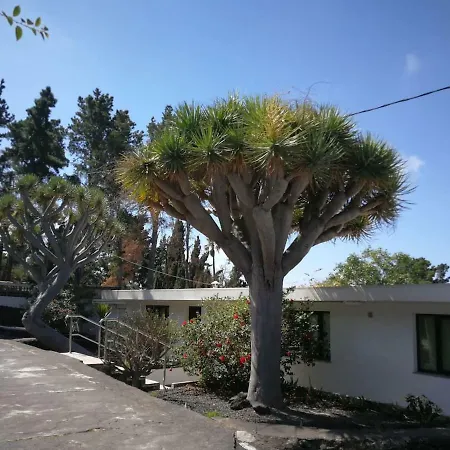 Holiday home Casa Dos Dragos El Paso